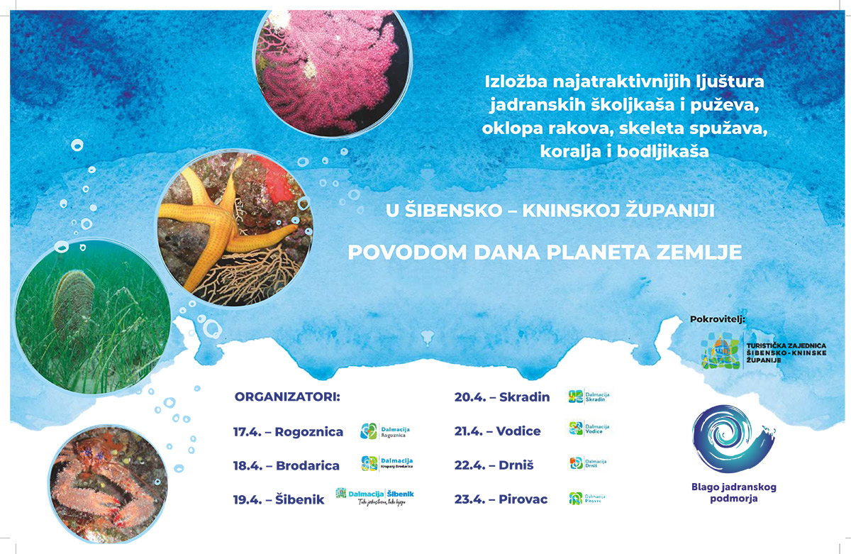 Jadransko podmorje u MAN-ovom autobusu: Ekskluzivna izložba u Drnišu